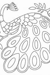 Peacock Feather Coloring Page sketch template