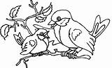 Bird coloring Pages To Download And Print For Free sketch template