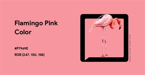 Flamingo Pink color hex code is #F7969E