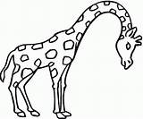 Resultado de imagen Para Animales Terrestres Colorear  Giraffe sketch template