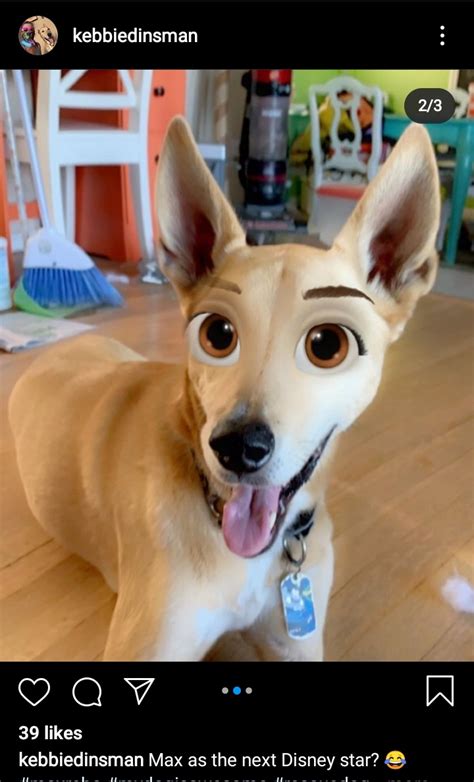 Disney Dog Filter Instagram | Disney Eyes Instagram Filter | How to get Cartoon Face Filter ...