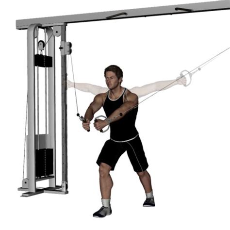 Inclined Cable Chest Fly by Thomas King - Exercise How-to - Skimble