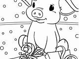 Free & Easy To Print Pig Coloring Pages  Animal coloring Flower sketch template