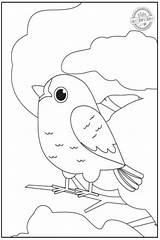 Coloring Birds Pages sketch template