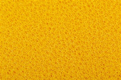 Sponge, pores, texture, yellow, HD wallpaper | Peakpx