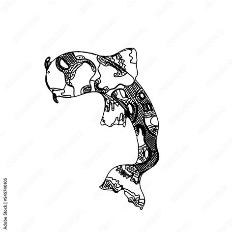 Koi fish black and white sketch design with a transparent background Stock Illustration | Adobe ...