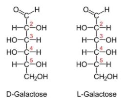 Glucose Vs Galactose Structure