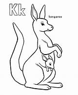 Coloring And Drawing Baby Kangaroo Page sketch template
