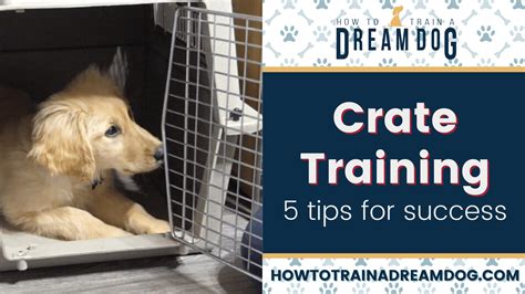 Top 5 Pro Tips for Puppy Crate Training Success