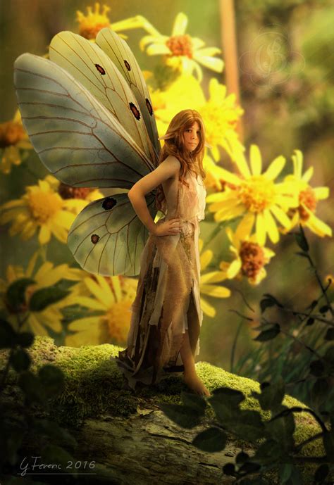 Butterfly fairy by FeriAnimations on DeviantArt