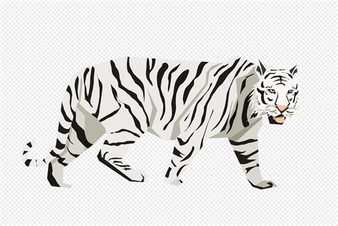 Right White Tiger PNG Images With Transparent Background | Free Download On Lovepik