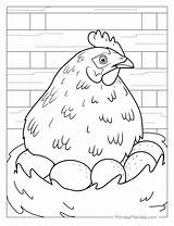 Coloring Chicken Hen Printable Pages Colouring Kids Sheets Saved  sketch template