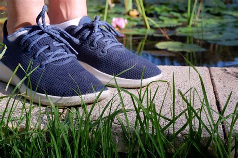 Inhabitat tests Tree Runners by Allbirds around the world