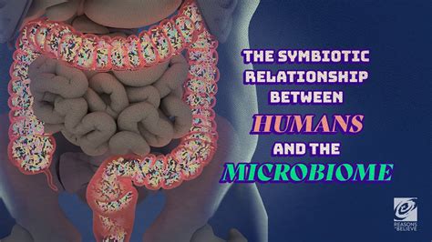 The Symbiotic Relationship between Humans and the Microbiome | Testable Faith - YouTube