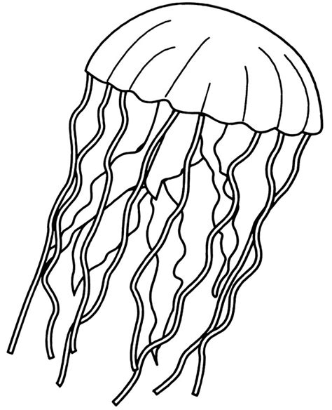 Coloring Pages On Jellyfish