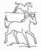 Horse coloring pages  ColoringLib sketch template