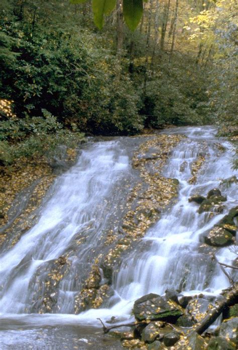 Waterfalls in the Smokies Near Bryson City NC | Waterfall, Bryson city ...