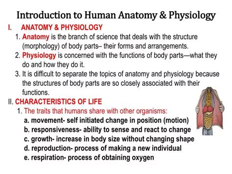 PPT - Introduction to Human Anatomy & Physiology PowerPoint ...