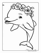 Free Dolphin Coloring Pages For Kids & Adults PDF Printables sketch template