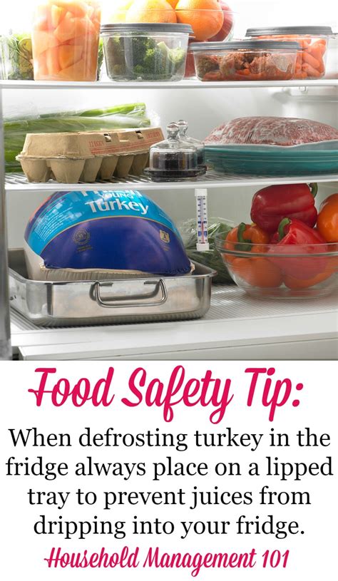 How To Defrost Turkey - Make Sure You Start Soon Enough For ...