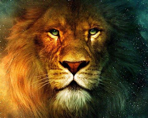 Lion Spirit Wallpapers - Top Free Lion Spirit Backgrounds - WallpaperAccess