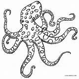 Octopus Coloring Page Printable Pages sketch template