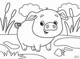 Pig coloring Page  Free Printable Coloring Pages sketch template