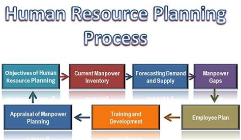 What is Human Resource Planning Process? Business Jargons