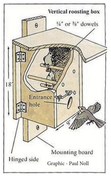 Winter Roost Box in 2020 | Bird houses, Bird houses diy, Bird aviary