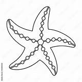 Sea Star Coloring Page sketch template