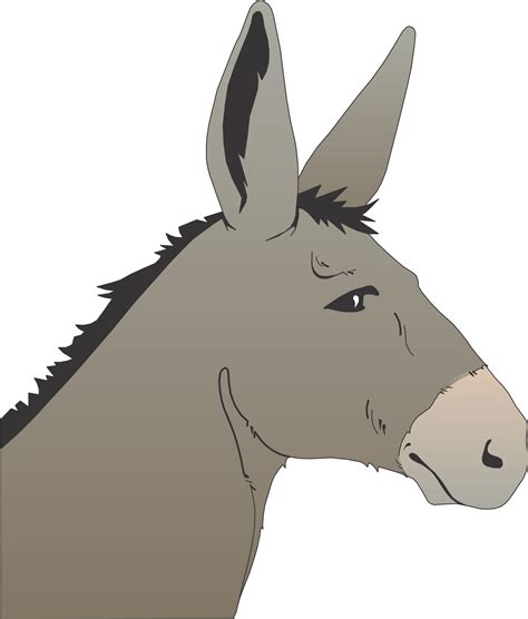 Resultado de imagen para drawing donkey head | Coloriage pikachu, Pikachu, Coloriage