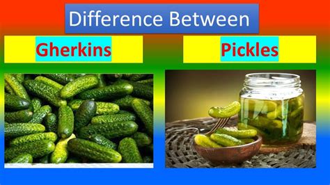 Difference between Gherkins and Pickles - YouTube