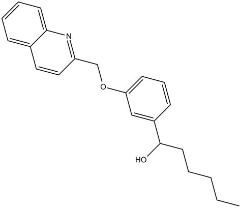 Leukotriene Receptor - GPCR/G protein - Signaling Pathways