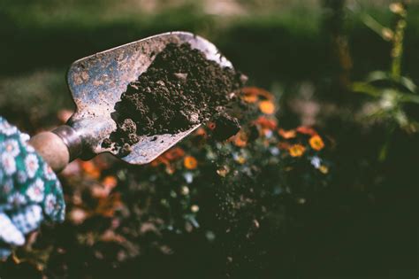 The Benefits of Using Garden Compost for Your Home Garden