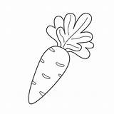 Premium Vector  Childrens coloring Page With A carrot Vegetable sketch template