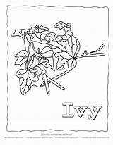 Kids Page Leaf IvyOur Of Ivy Leaves Coloring Pages sketch template