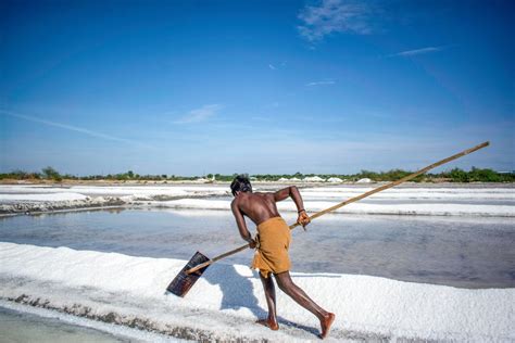 The Rani of Thoothukudi’s salt pans