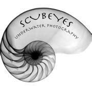 Scubeyes Underwater Photography
