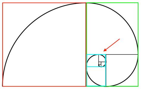 The Golden Ratio: The Ultimate Guide to Understanding and Using It