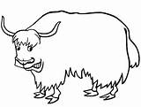 50  Yak Coloring Pages Free Printable PDF JPG PNG & Online sketch template