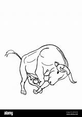 Bull Fighting Coloring Pages Sketch Page sketch template