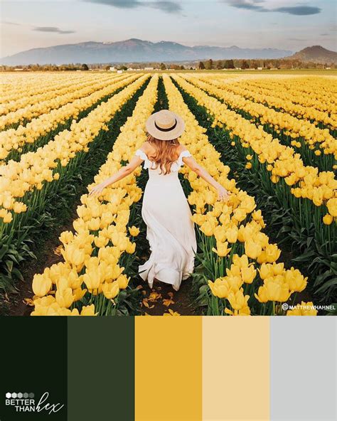 Flower Fields | Flower field, Color palette, Hex color palette