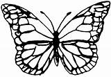 Butterflies  Free Coloring Pages sketch template