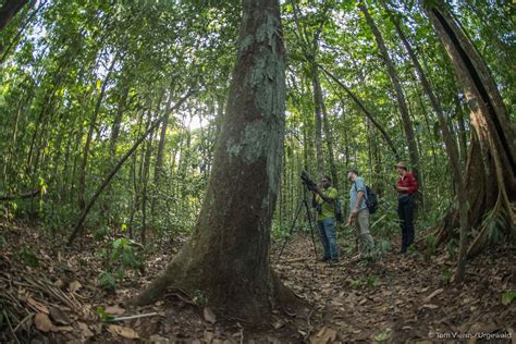 Ecotourism in Guyana | The Iwokrama Forest | Part 1 | Livingdreams.tv