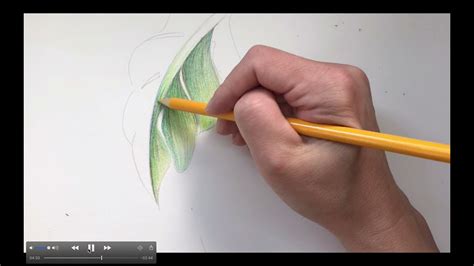 Shading a Leaf with Color Pencil - YouTube