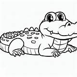 Baby Alligator Coloring Page sketch template