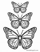 Free Butterfly Coloring Pages Unleash Your Creativity And Explore  sketch template