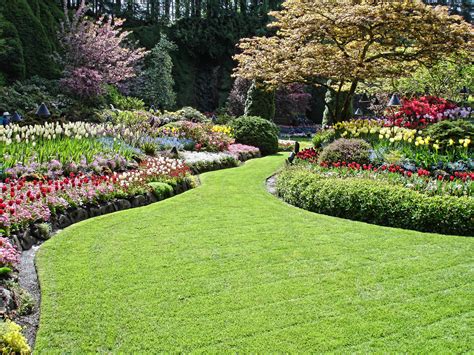 Seek Effective Landscaping Design, Installation, and Lawn Maintenance ...