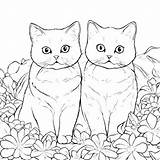 Download Two Cats In A Flower Bed Coloring pages Online  Creative Fabrica sketch template