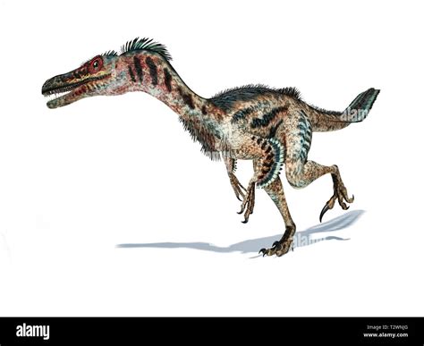 Velociraptor feathers dinosaur Cut Out Stock Images & Pictures - Alamy